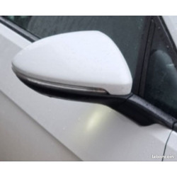 Rétroviseur éléctrique chauffant Ridex